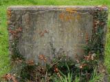 image of grave number 299643